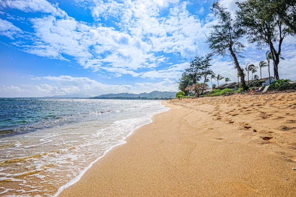 Islander on the Beach 257
