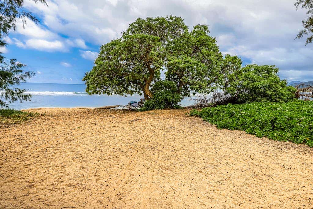 Islander on the Beach 257