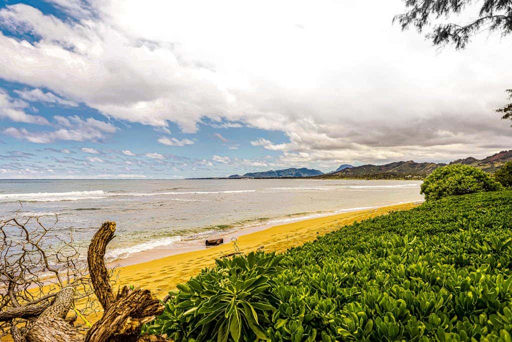 Islander on the Beach 257