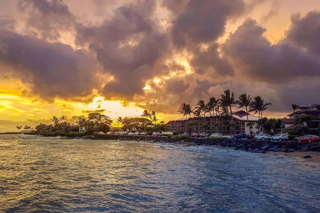 Islander on the Beach 257