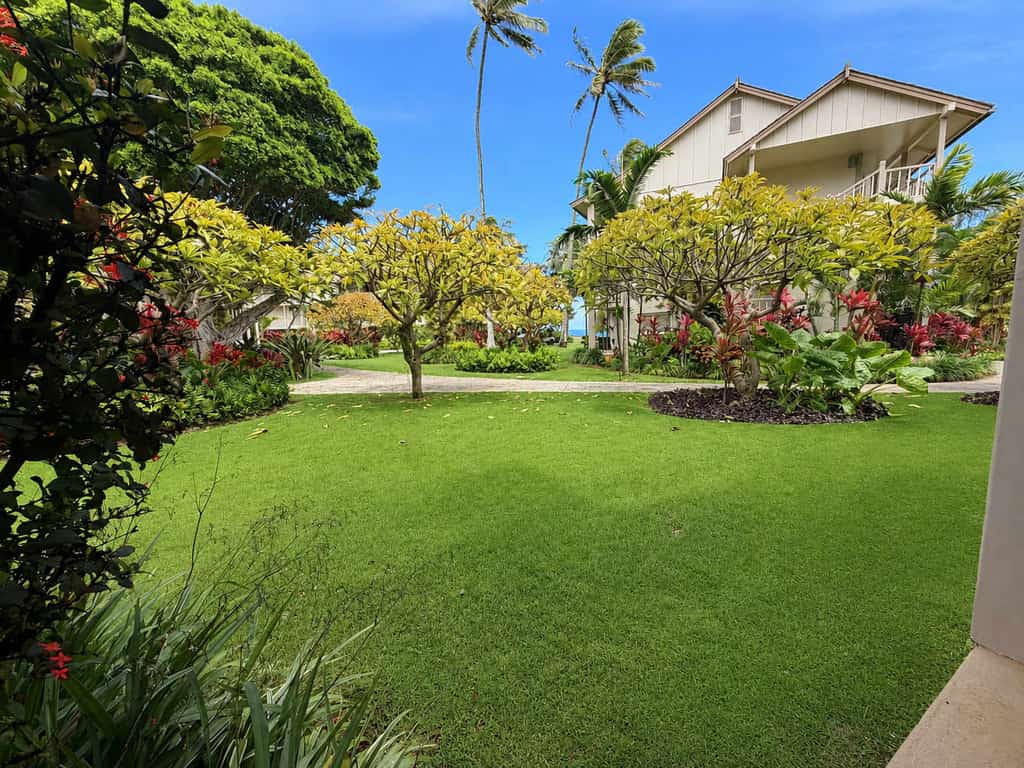 Ground-floor zen studio - ocean-view lanai, AC, steps to beachside pool/hot tub