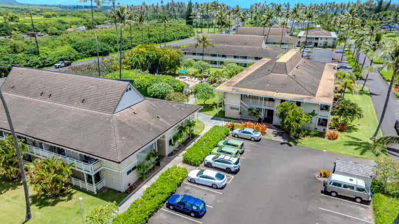 Salt & Palms at Plantation Hale E3