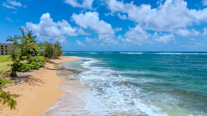 Salt & Palms at Plantation Hale E3