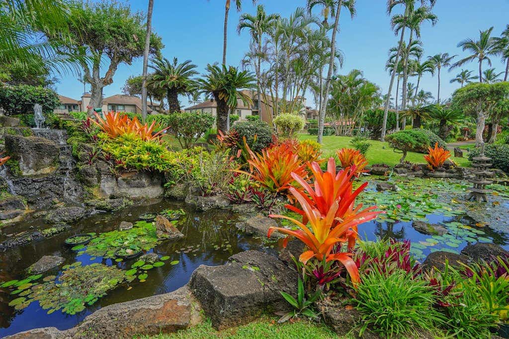 Pono Kai Resort B208