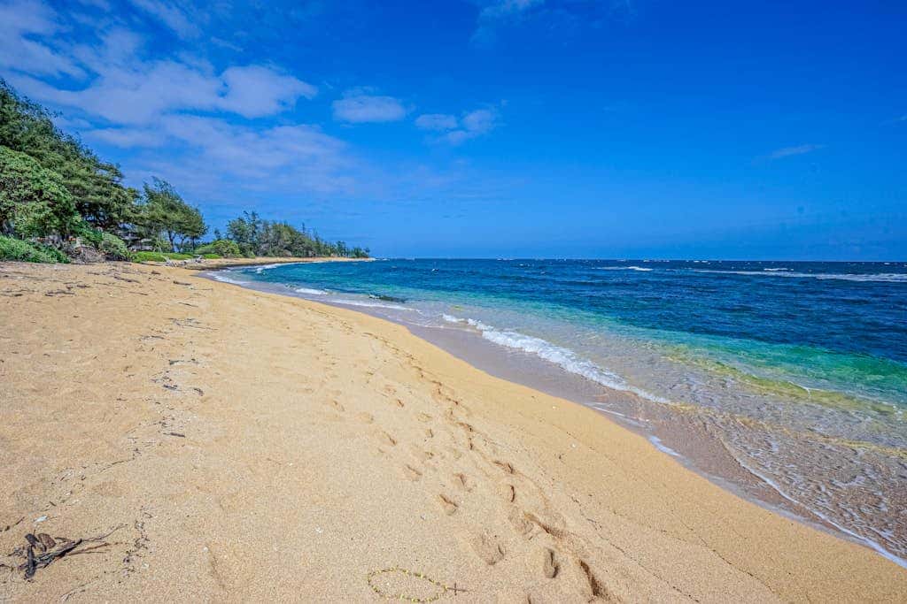 Islander on the Beach 339