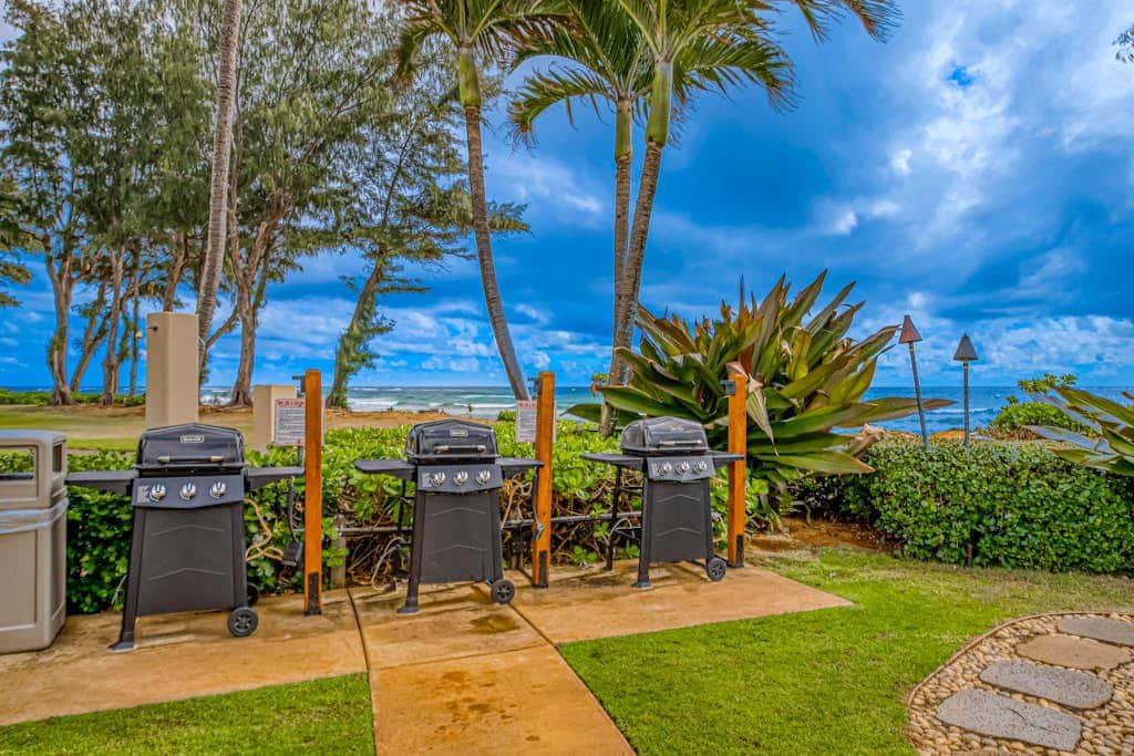 Islander on the Beach 339