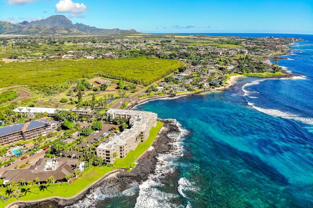 Prince Kuhio 234