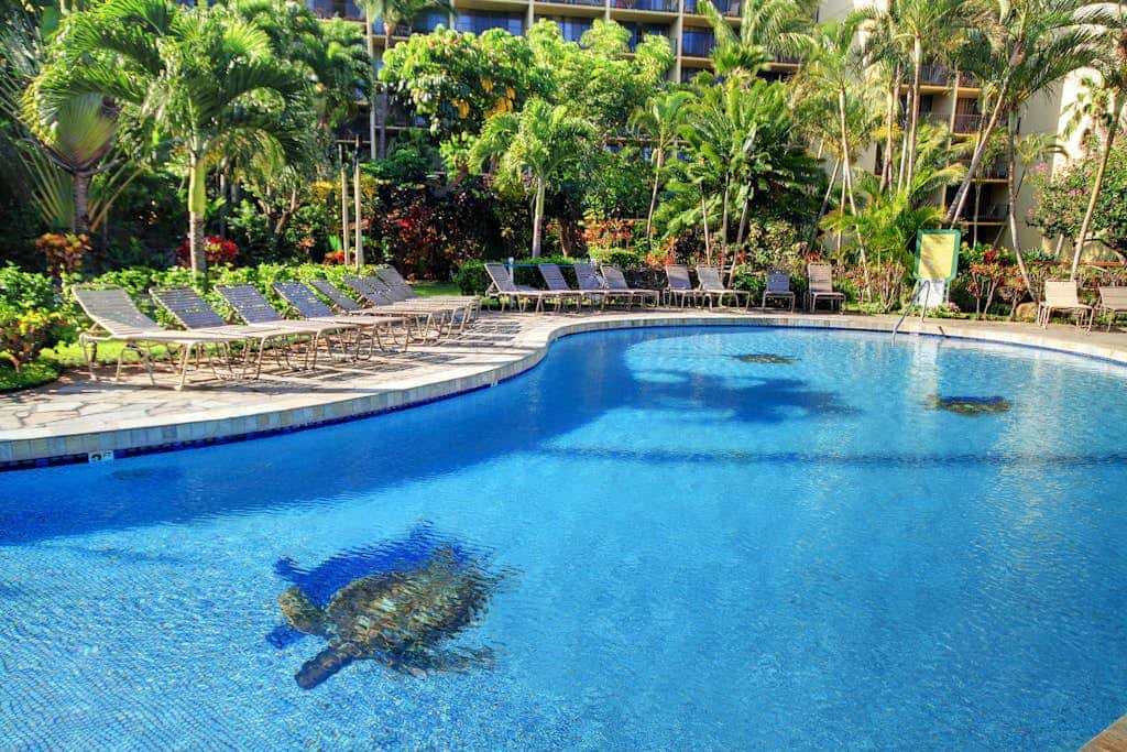 Kaanapali Shores 706