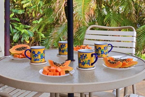 Family friendly condo w/ private lanai, shared hot tub & pool - close to beach