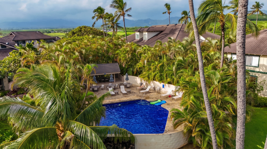 Kahala 914