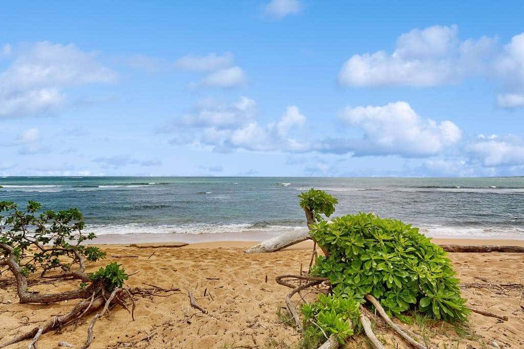 Islander on the Beach 204