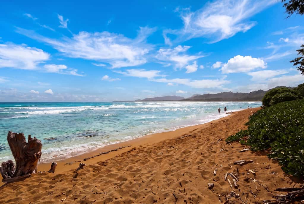 Islander on the Beach 204