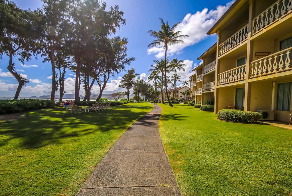 Islander on the Beach 204