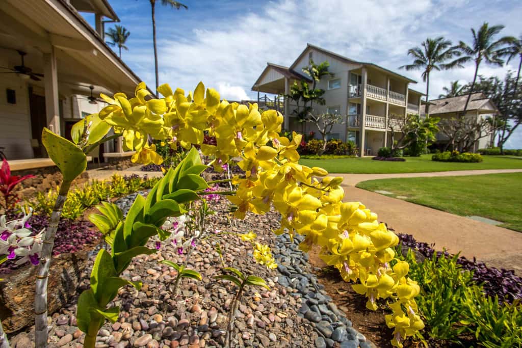 Islander on the Beach 204