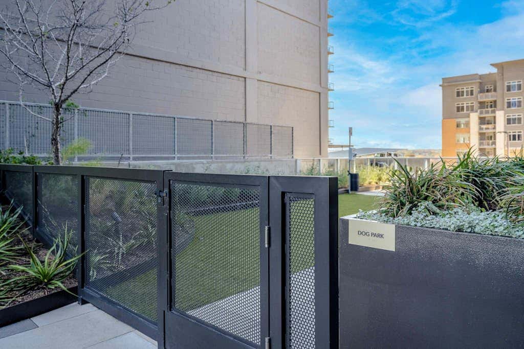 Natiivo Austin Skyline Vistas