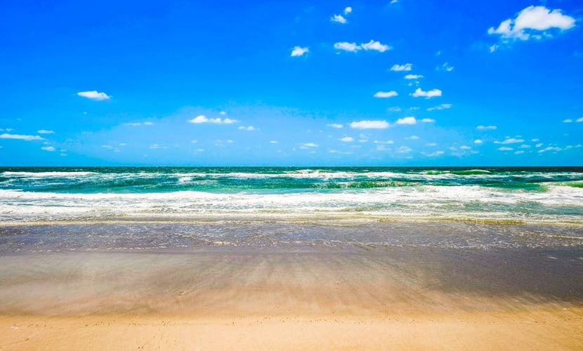 Wonderful studio near the beautiful beach