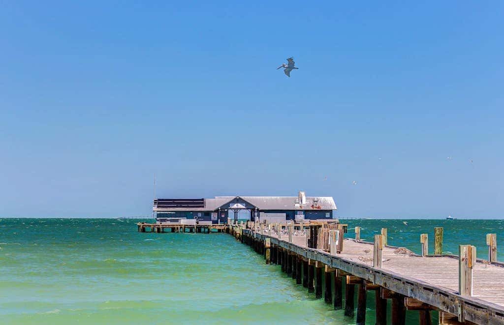 Gertie's Coconut House