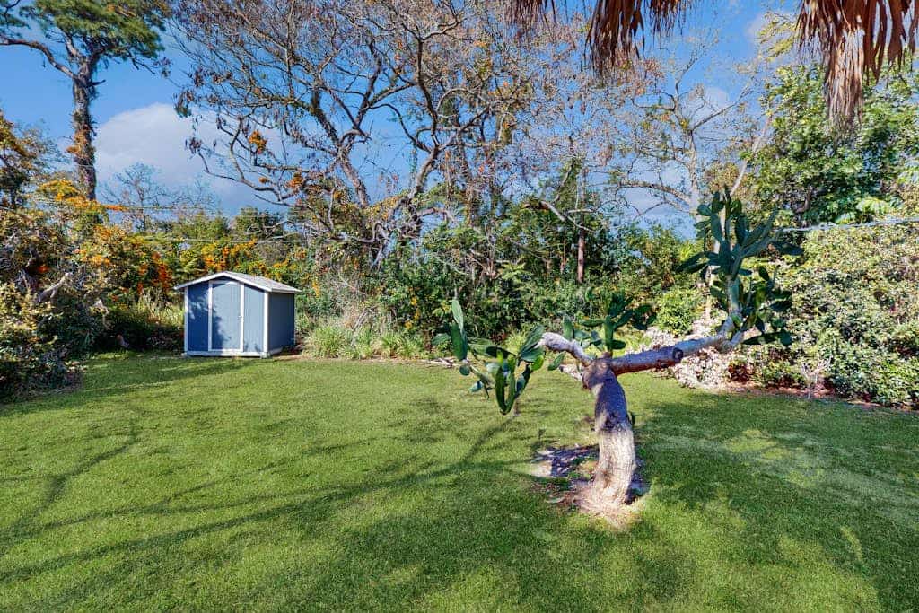 Renovated retreat - dog-friendly yard, AC & W/D - snowbirds welcome