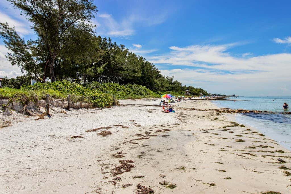 Gulf View Cottage #3