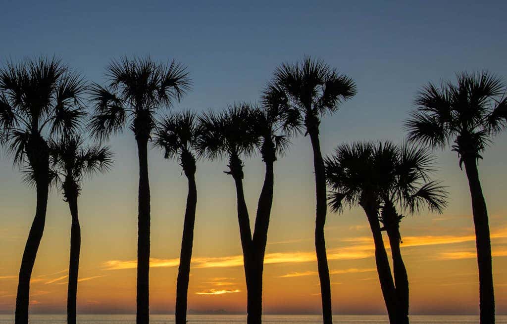 Anna Maria Island Club Unit 17S