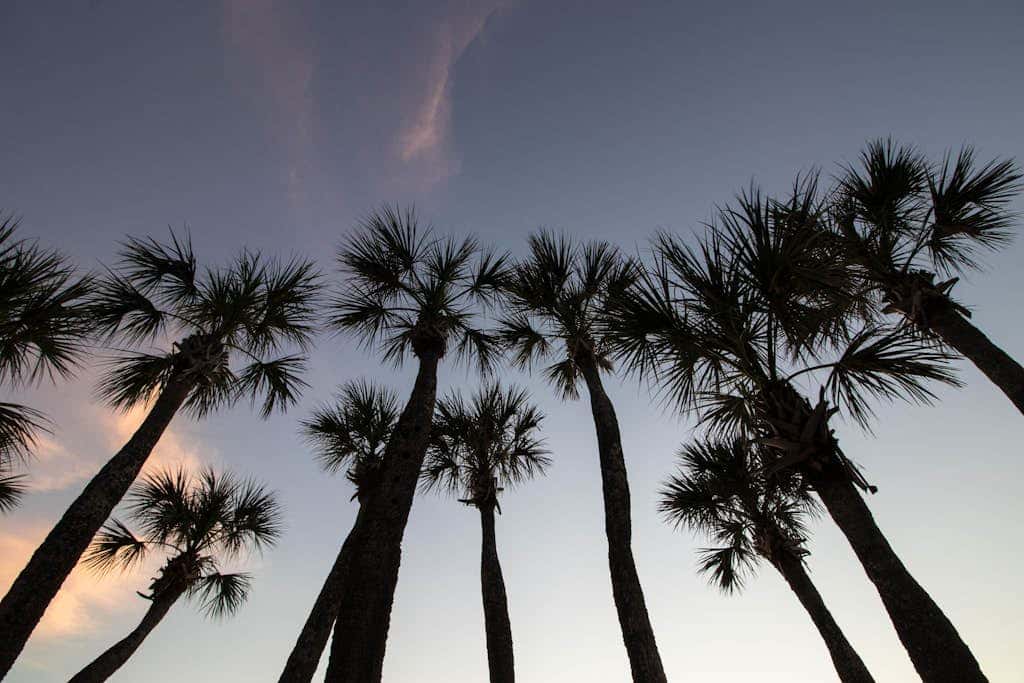 Anna Maria Island Club Unit 17S