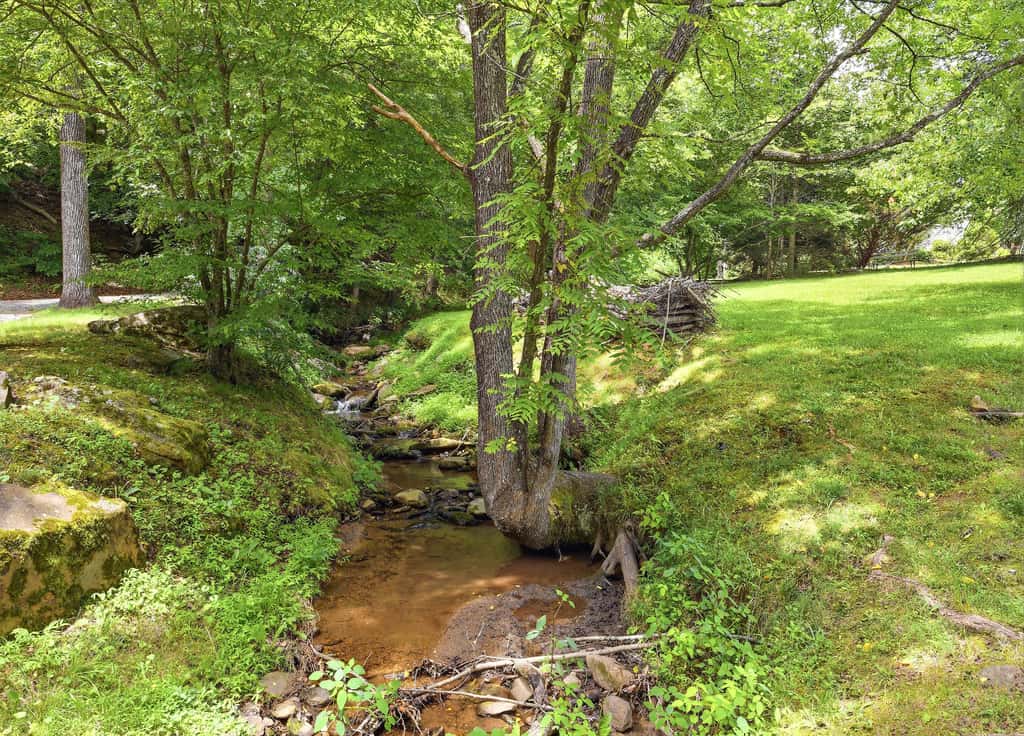 Luxury Farmhouse & Creekside Cottage, Dog-friendly, Scenic Views, Firepit, BBQ