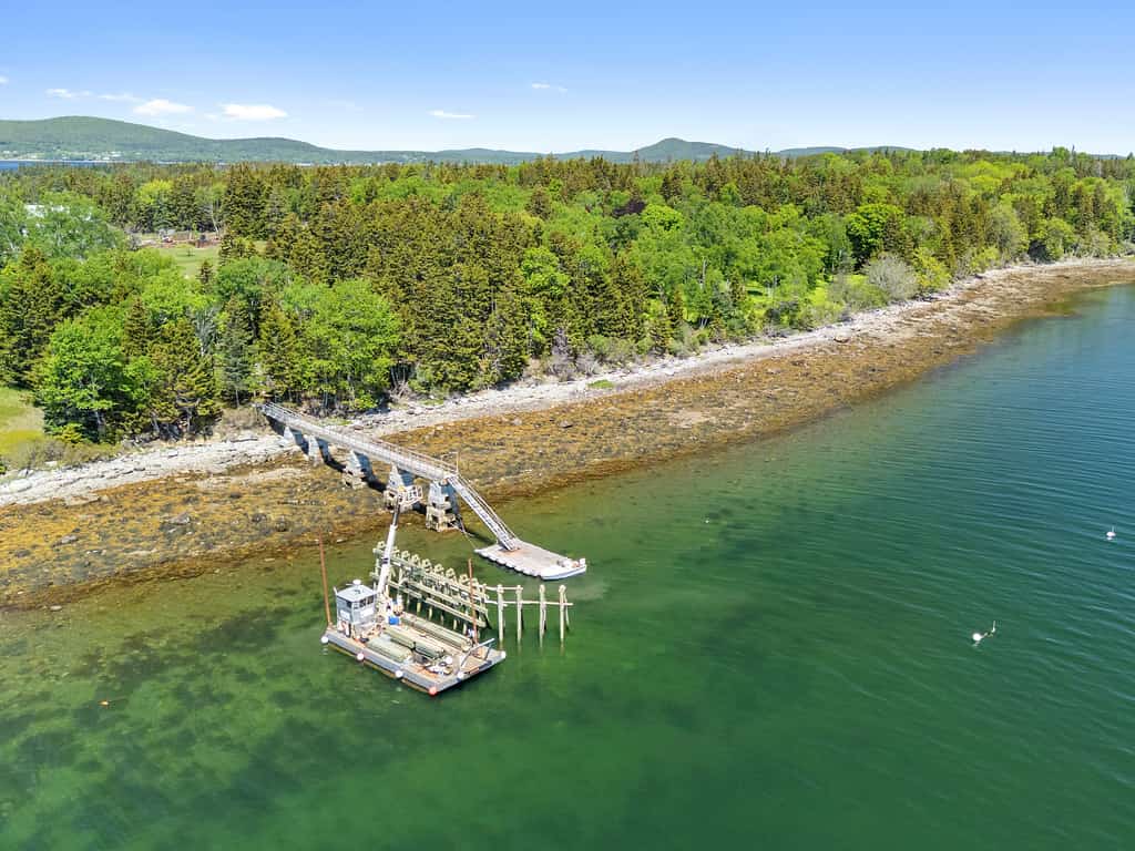Oceanfront 5BR island retreat with deck, fireplace, and kayaks