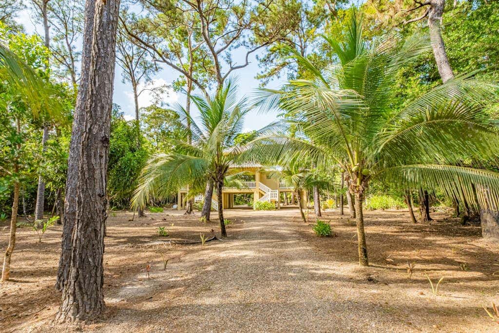 Treehouse at Sanctuary Belize