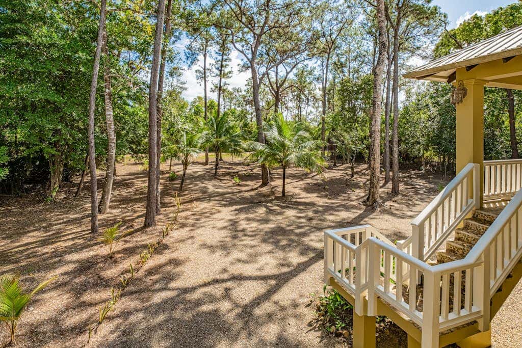 Treehouse at Sanctuary Belize