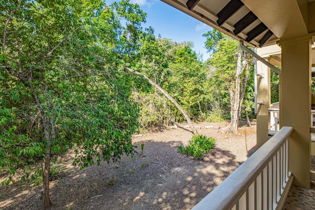 Treehouse at Sanctuary Belize