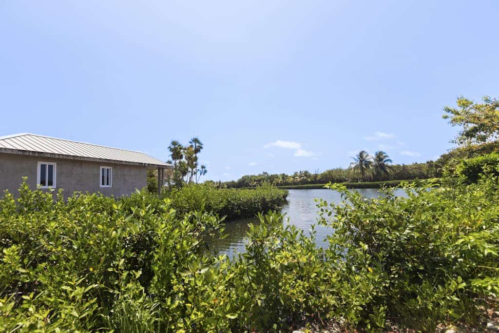 Charming lagoon front apartment with kayaks, SUPs, & nearby beach