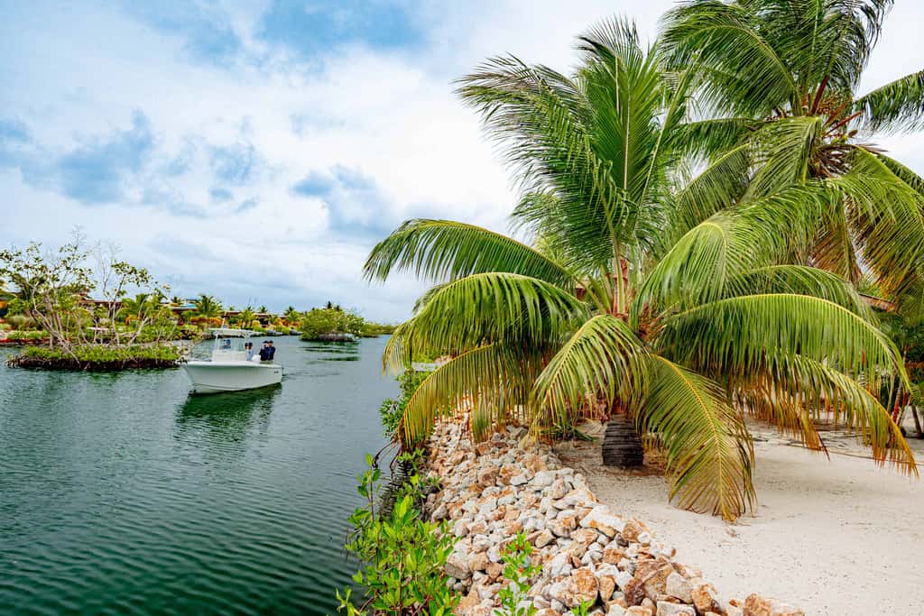 Seabird Villa 3