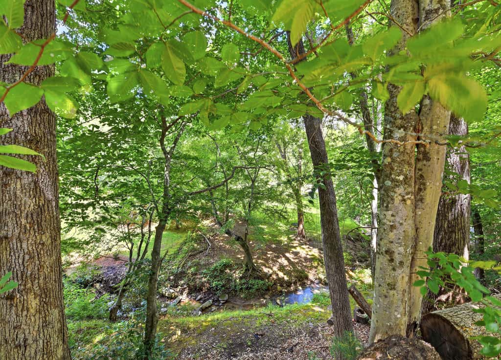 Luxury Treehouse, gas fireplace, BBQ, firepit, outdoor dining, shared creek access