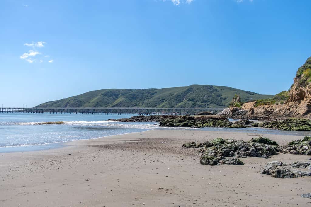 Little Buoy! Walk to the Beach from This Petite 1-Bedroom Getaway