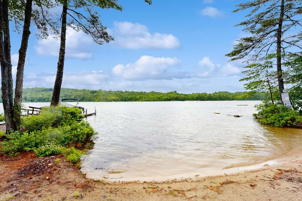 Four Seasons at the Lake