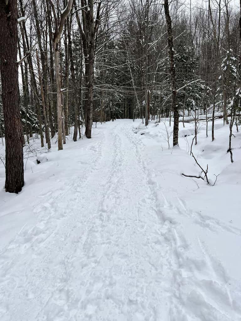 The Hoppy Skier