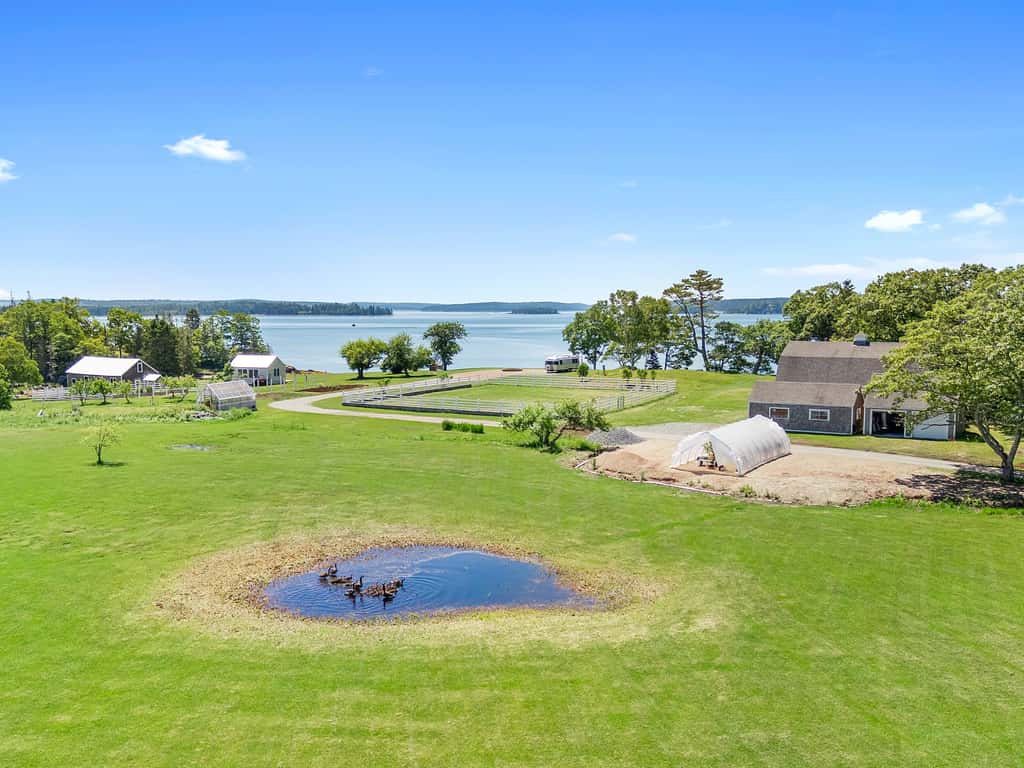 Maggie May at Salt Water Farm