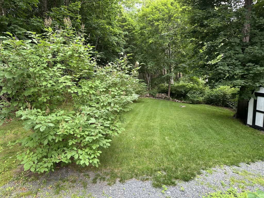 Birdsong Carriage House: Cozy 1BR near Acadia and downtown Bar Harbor