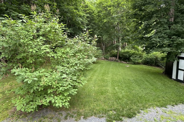 Birdsong Carriage House: Cozy 1BR near Acadia and downtown Bar Harbor