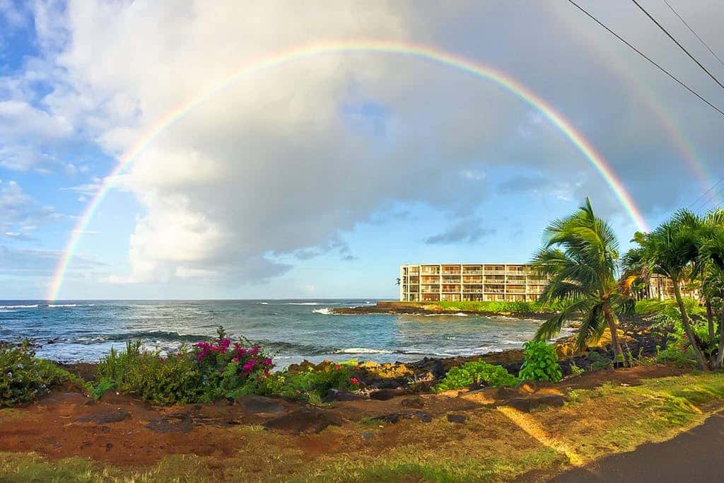 Kuhio Shores 407