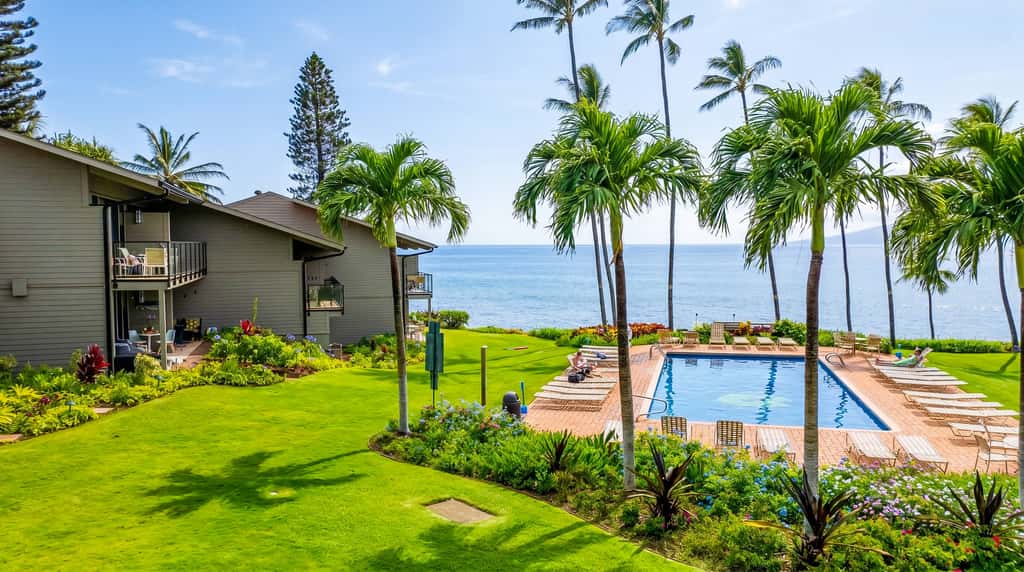 Mahina Surf 123