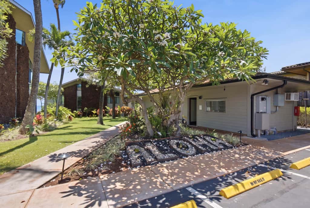 Mahina Surf 123