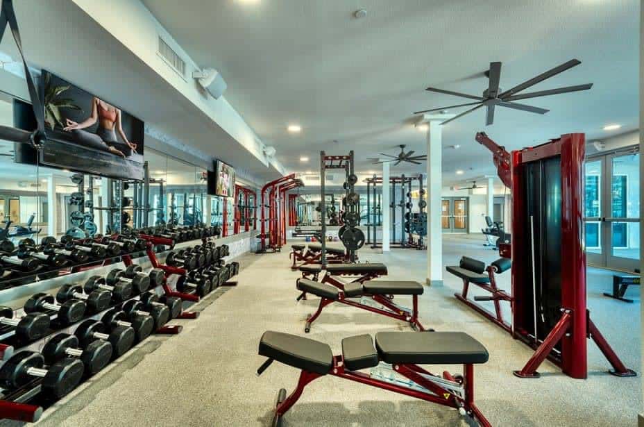 CozySuites PHX RORO Pets, Gym, Pool! 1BR
