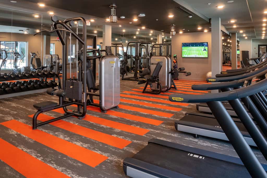 Stunning Nulu 1BR CozySuites