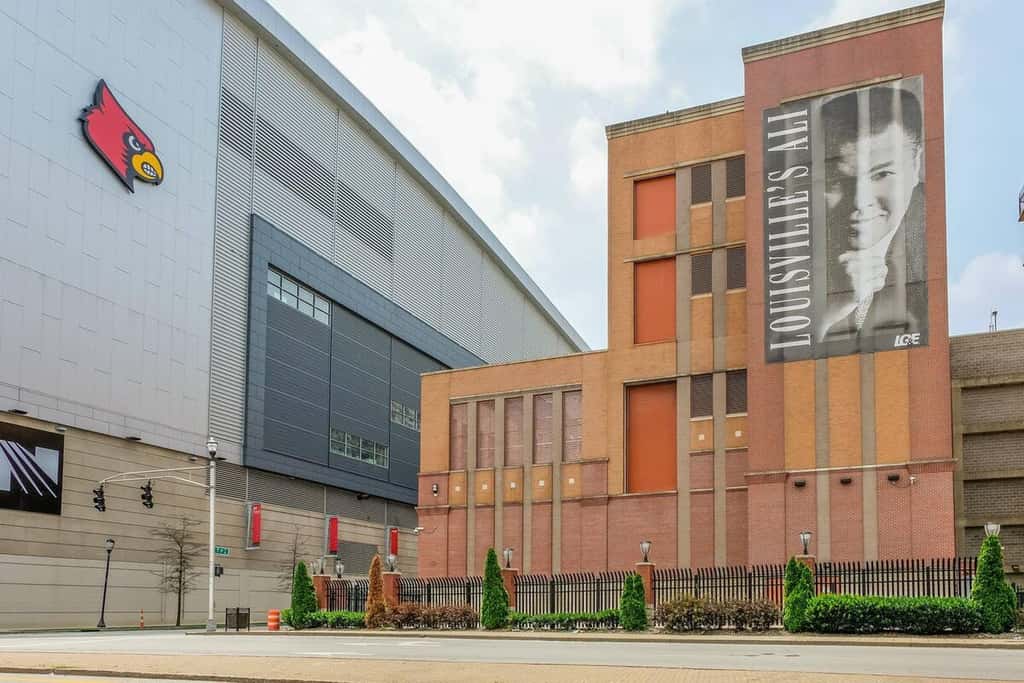 Two Stylish Nulu CozySuites