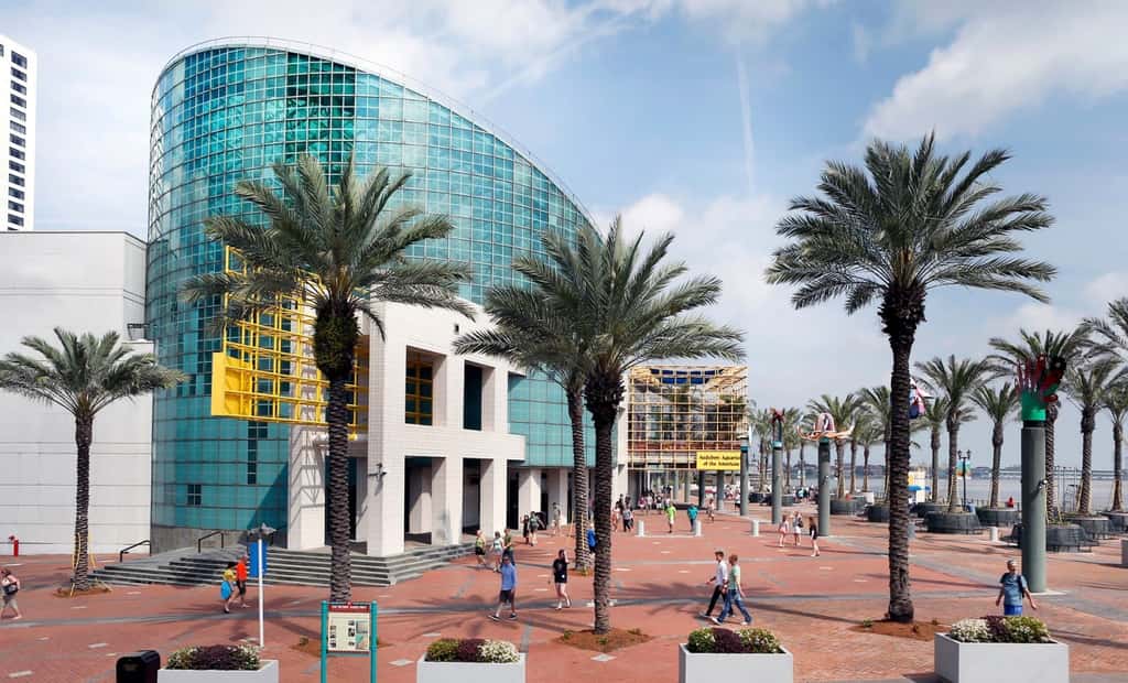 Roami at Motorworks | 2-Story | 1BR Superdome
