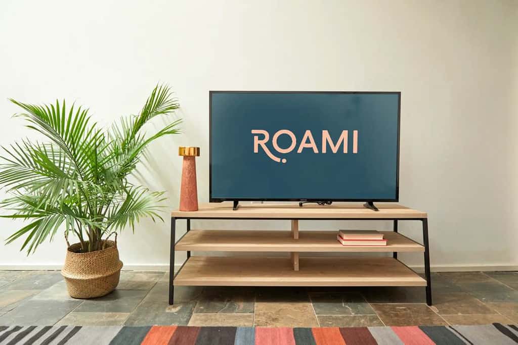 Roami at The Mandeville | 3BR
