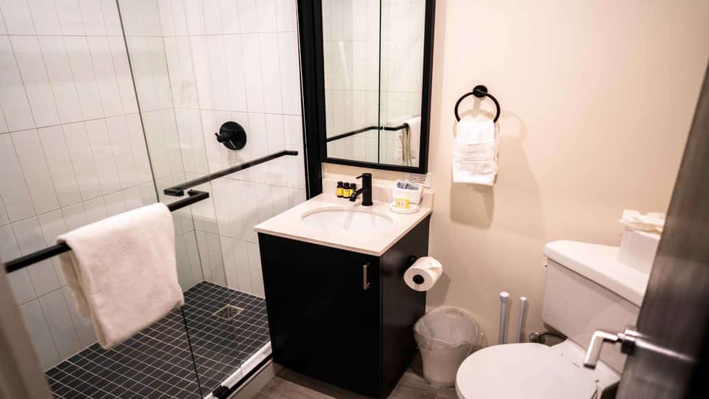 Roami at the Fitz | 1BR sleeps 4 | gym