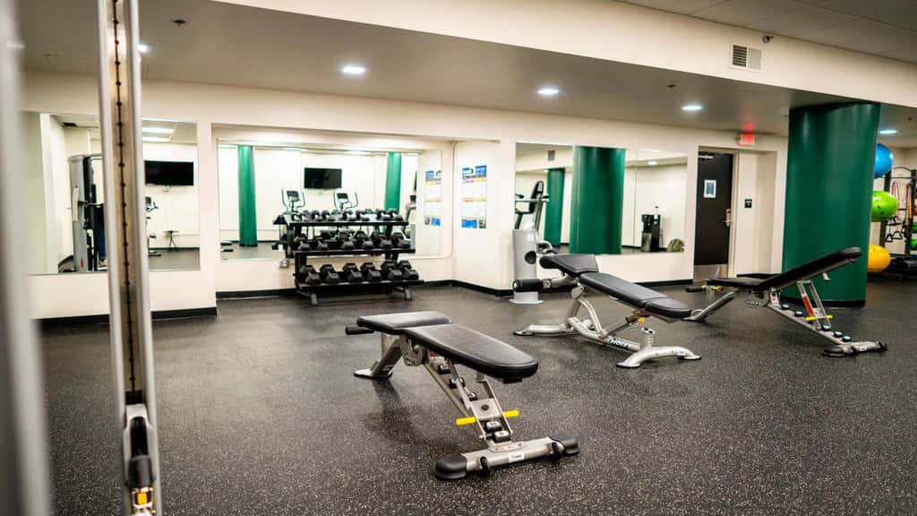 Roami at the Fitz | SDO gym, laundry in building!