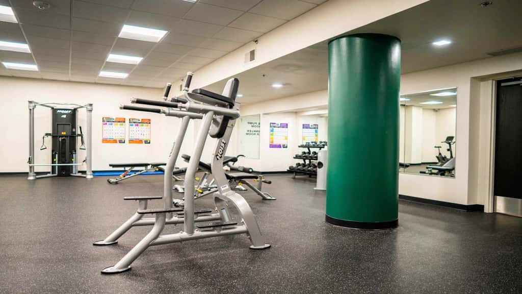 Roami at the Fitz | SDO gym, laundry in building!